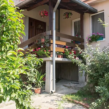 Solomonovic Apartment *